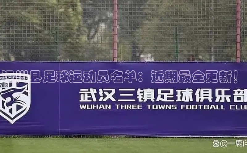 贝博betball体育app下载阿里尔公司泾川县足球运动员名单：近期最全更新！