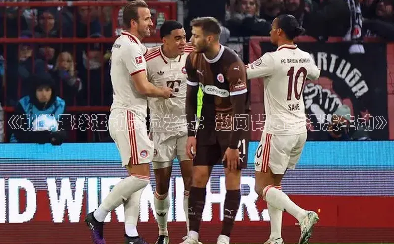 BB·贝博狼堡观星盘《朝鲜足球运动员捡水喝：趣闻背后的活泼生动》