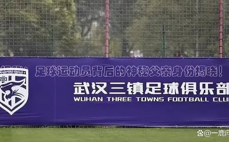 贝博BBbet官网首页百度大脑揭秘：足球运动员背后的神秘父亲身份揭晓！