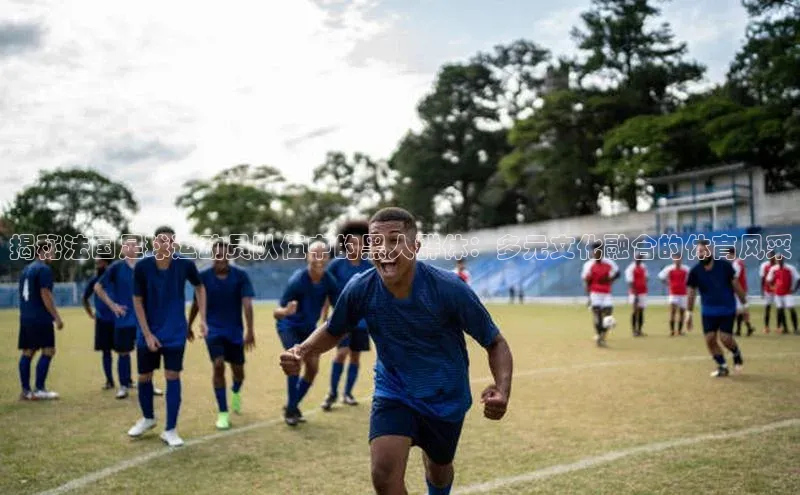 贝博官网下载app百度营销中心揭秘法国足球运动员队伍中的黑人群体：多元文化融合的体育风采