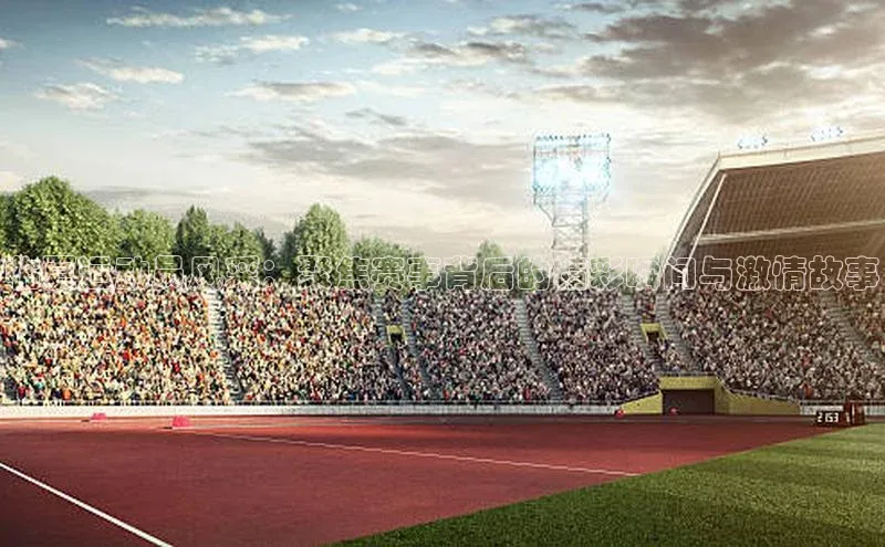 临夏运动员风采：聚焦赛事背后的精彩瞬间与激情故事