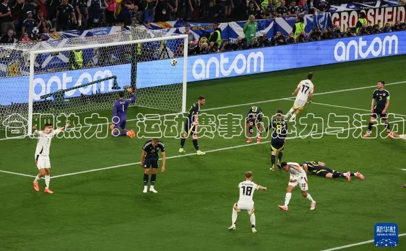 合肥热力：运动赛事的魅力与活力