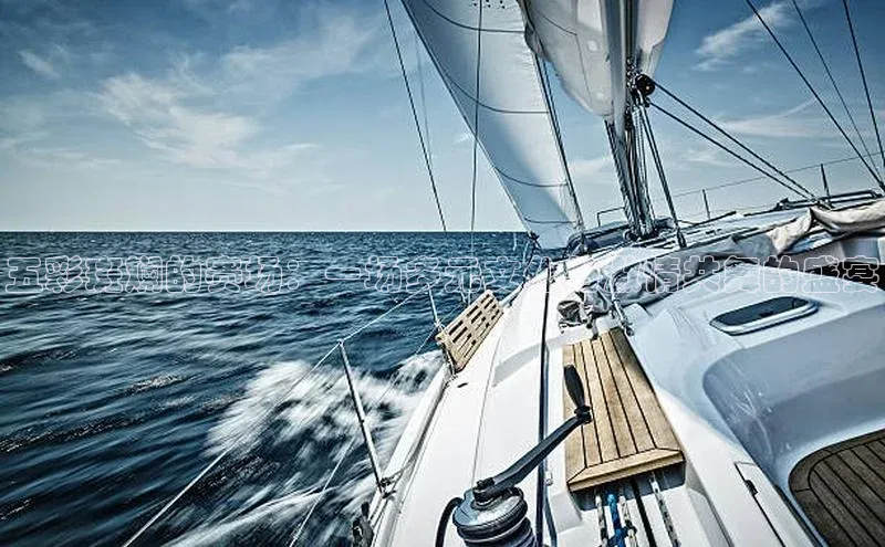 五彩斑斓的赛场：一场多元文化与激情共舞的盛宴