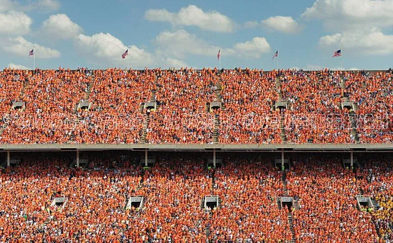 活力四射的体育盛宴：让你燃起来的运动赛事海报设计