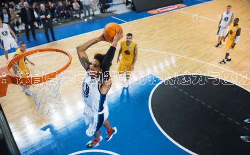 ：体育各类运动赛事的独特魅力与区别