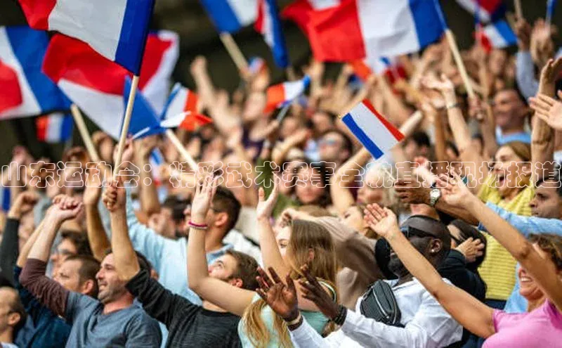 山东运动会：精彩武术赛事全貌直播现场报道