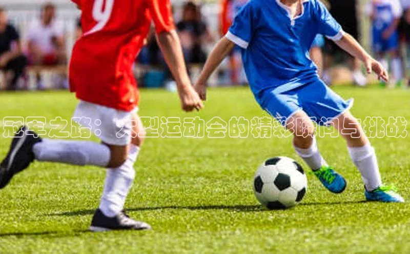 冠军之路：大型运动会的精彩瞬间与挑战