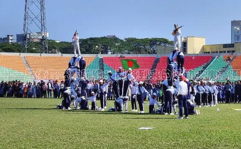 十一月体育盛事前瞻：即将到来的运动赛事高潮