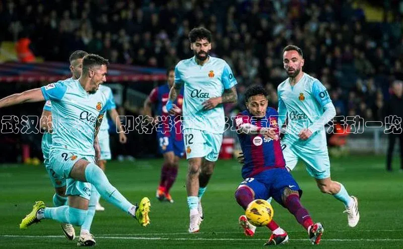 武汉的未来：即将举行的多项重要体育活动一览