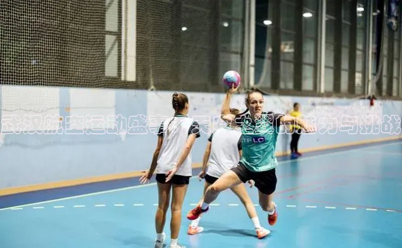 武汉航空运动盛事：天空之翼的魅力与挑战