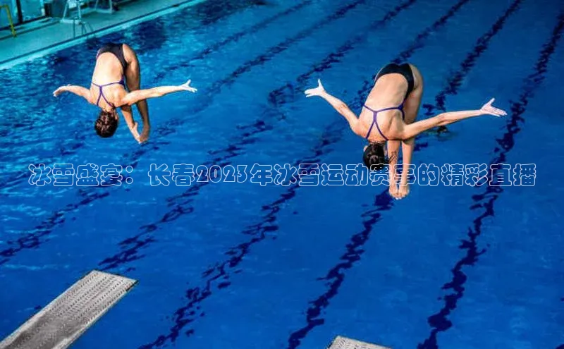 冰雪盛宴：长春2023年冰雪运动赛事的精彩直播