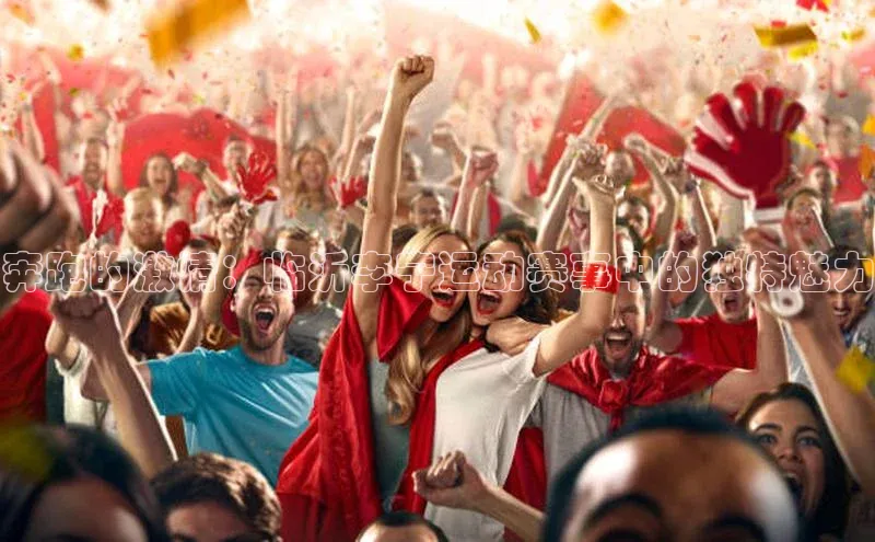 奔跑的激情：临沂李宁运动赛事中的独特魅力