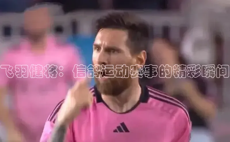 贝博bb平台体育正规吗