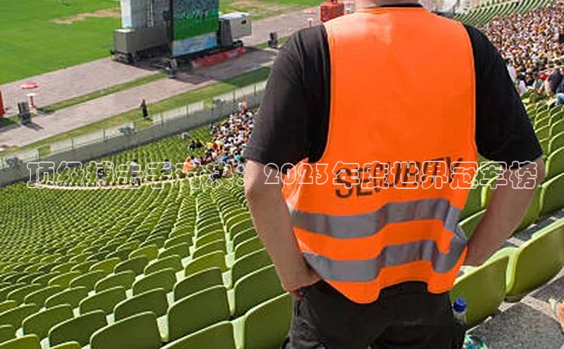 顶级搏击手对决：2023年度世界冠军榜